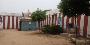 koviladi-it-1