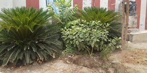 koviladi-it-11