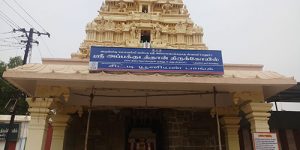 koviladi-it-15