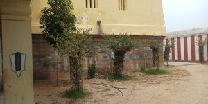 koviladi-it-2