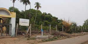 koviladi-nan-1