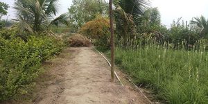 koviladi-nan-14