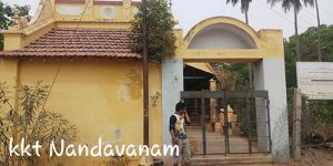 koviladi-nan-16