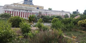 koviladi-nan-clean-2