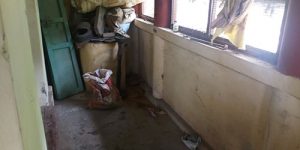 koviladi-nan-clean-5