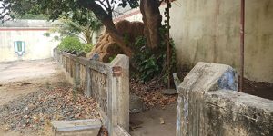 sirupuliyur-goshala-in-3