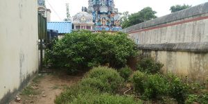 sirupuliyur-nandhavanam-3