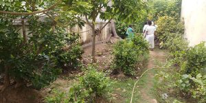 sirupuliyur-nandhavanam-4