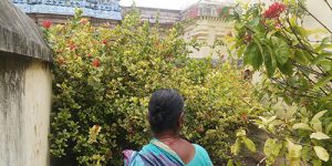 sirupuliyur-nandhavanam-6