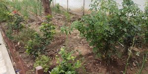 sirupuliyur-new-accomo-13