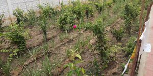 sirupuliyur-new-accomo-14