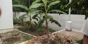 sirupuliyur-new-accomo-16