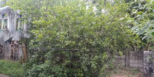 sirupuliyur-new-accomo-7