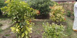 sirupuliyur-old-accomo-5