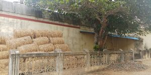 sirupuliyur-temple-in-5