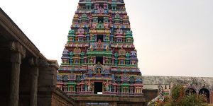 srimushnam-ins-temp-1
