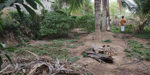 srimushnam-nandhavanam-2