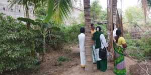 srimushnam-nandhavanam-3