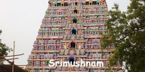 srimushnam-temple