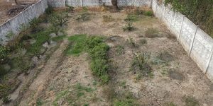 thirukannagudi-nandhavanam-4