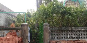 thirukannagudi-nandhavanam-ins-temp-1