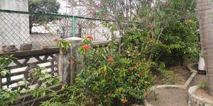 thirukannagudi-nandhavanam-ins-temp-10