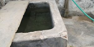 thirukannagudi-nandhavanam-ins-temp-2