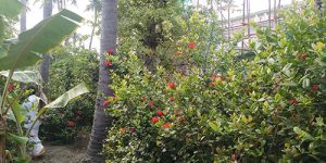 thirukannagudi-nandhavanam-ins-temp-3