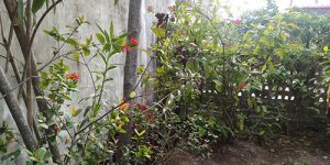 thirukannagudi-nandhavanam-ins-temp-5