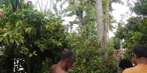 thirukannagudi-nandhavanam-ins-temp-6
