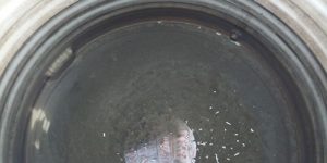 thirukannagudi-repair-7