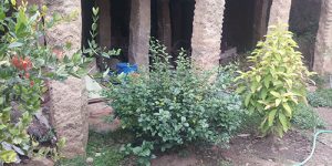 thirumaiyam-nandhavanam-8