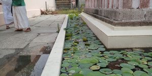 thirunagari-ins-4