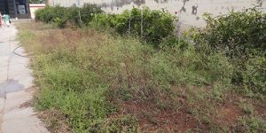 thirunagari-ins-6