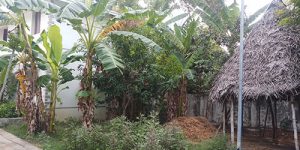 thirunagari-nandhavanam-4